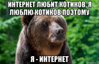 интернет любит котиков, я люблю котиков поэтому я - интернет