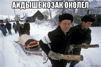 аидыше козак околел 