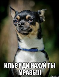  илье иди нахуй ты мразь!!!