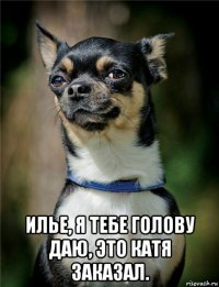  илье, я тебе голову даю, это катя заказал.