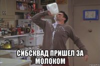  сибсквад пришел за молоком