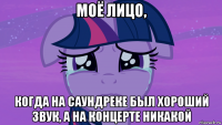 моё лицо, когда на саундреке был хороший звук, а на концерте никакой