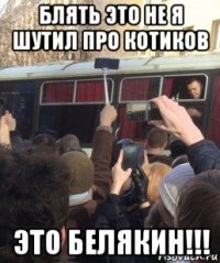 блять это не я шутил про котиков это белякин!!!