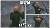 шоры ярлыки