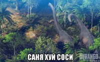  саня хуй соси