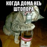 когда дома неь штопора 