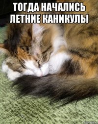 тогда начались летние каникулы 