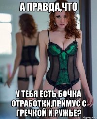 а правда,что у тебя есть бочка отработки,примус с гречкой и ружье?