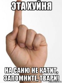эта хуйня на саню не катит, запомните, твари!