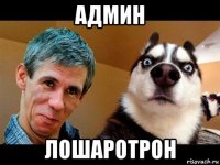 админ лошаротрон