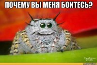почему вы меня боитесь? 