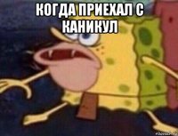 когда приехал с каникул 