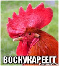  воскукареегг