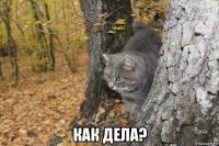  как дела?