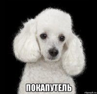  покапутель