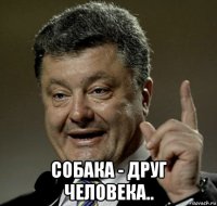  собака - друг человека..