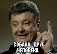  собака - друг человека..