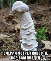  вчера смотрел новости. всё, вам пиздец
