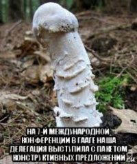  на 7-й международной конференции в гааге наша делегация выступила с пакетом конструктивных предложений