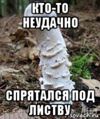кто-то неудачно спрятался под листву