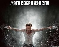 #эгисверниэкспу 