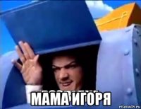  мама игоря