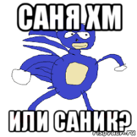 саня хм или саник?