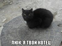  люк, я твой котец