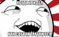 когда увидел как собаки трахаются