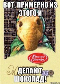 вот, примерно из этого и делают шоколад!
