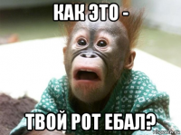 как это - твой рот ебал?