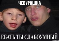 чебурашка 