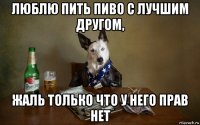 люблю пить пиво с лучшим другом, жаль только что у него прав нет