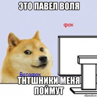 это павел воля тнтшники меня поймут