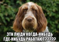  эти люди когда-нибудь где-нибудь работают?????