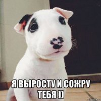  я выросту и сожру тебя ))