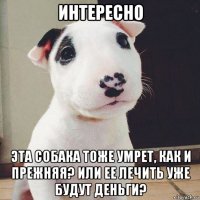 интересно эта собака тоже умрет, как и прежняя? или ее лечить уже будут деньги?