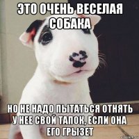 это очень веселая собака но не надо пытаться отнять у нее свой тапок, если она его грызет