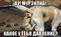 ау! мурзилка! какое у тебя давление?