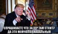  спрашиваете что за хер там стоит? да это мой холоп навальный