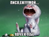 пися,еж!!!!мой.... хочу к тебе