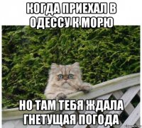 когда приехал в одессу к морю но там тебя ждала гнетущая погода
