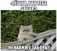 -лёшка, как тебе забор? -ненавижу заборы!
