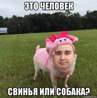 это человек свинья или собака?