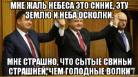 мне жаль небеса это синие, эту землю и неба осколки. мне страшно, что сытые свиньи страшней, чем голодные волки