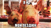 я и мой пездюк