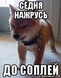 сёдня нажрусь до соплей