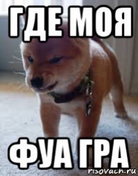 где моя фуа гра