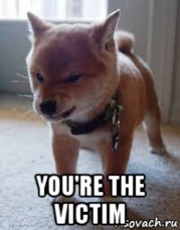  you're the victim
