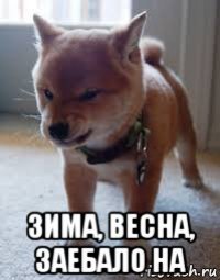  зима, весна, заебало на